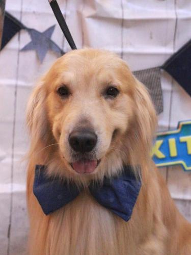 20230401BARONjrくん